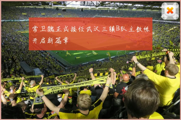 常卫魏正式接任武汉三镇B队主教练开启新篇章