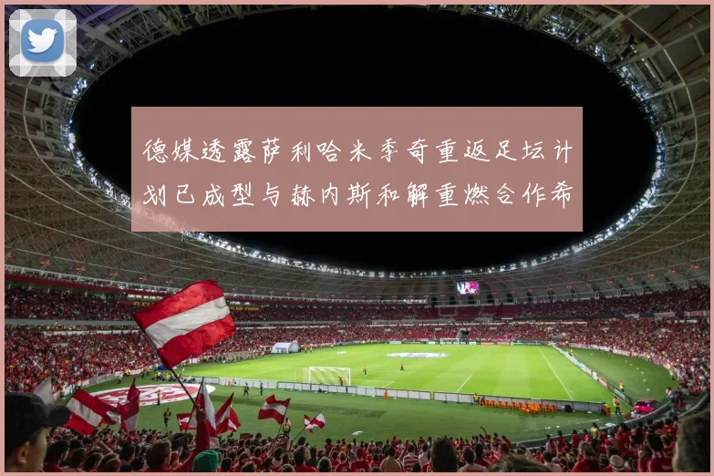 德媒透露萨利哈米季奇重返足坛计划已成型与赫内斯和解重燃合作希望