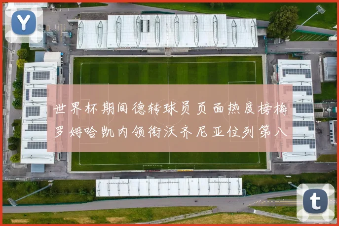 世界杯期间德转球员页面热度榜梅罗姆哈凯内领衔沃齐尼亚位列第八
